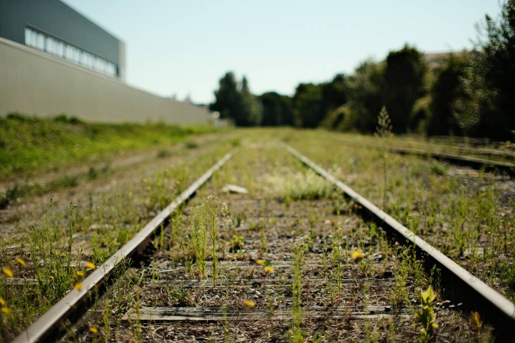 Cathédrale de Reims, Marne