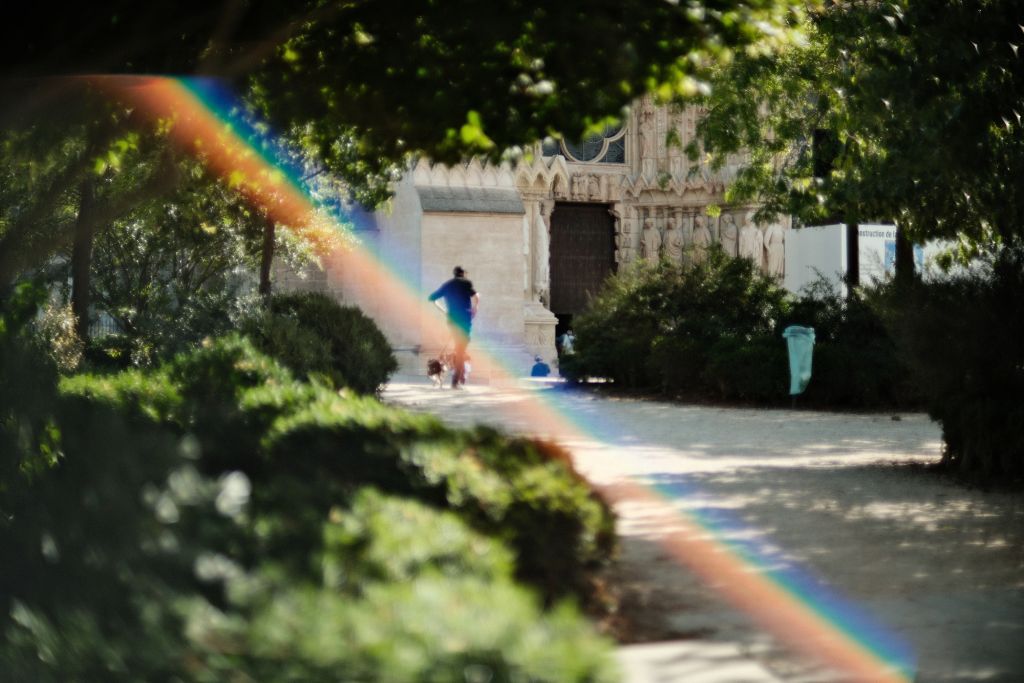  Cathédrale de Reims, Marne