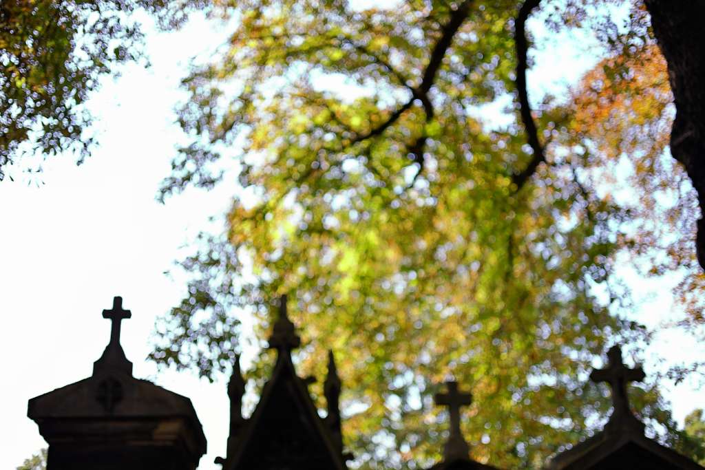 Cathédrale de Reims, Marne