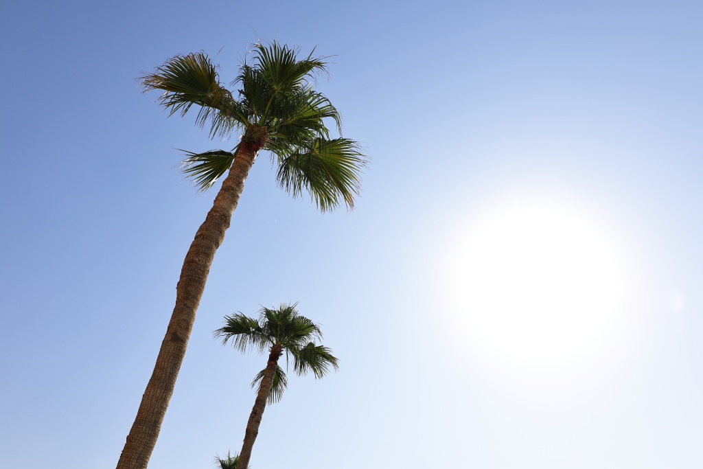 Misc, Divers, Jordanie Selection